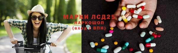 ГАЛЛЮЦИНОГЕННЫЕ ГРИБЫ Балабаново