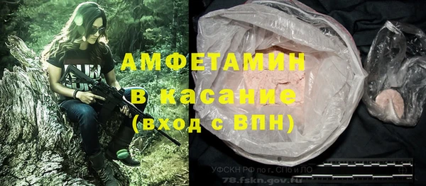 твердый Арсеньев