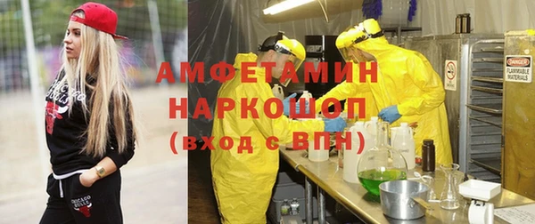твердый Арсеньев