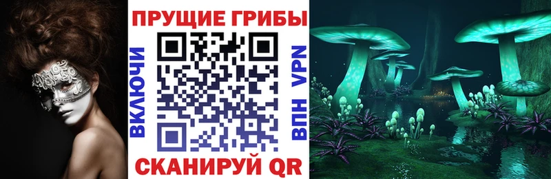 Галлюциногенные грибы мицелий  закладки  Белый 